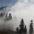 November+-+Die+Nebel+steigen+auf+(Karl+Poberschnigg)